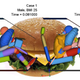 Illustration for article titled Fat Men More Likely To Be Seriously Injured In Car Crashes